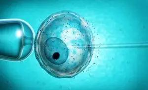 苏医生